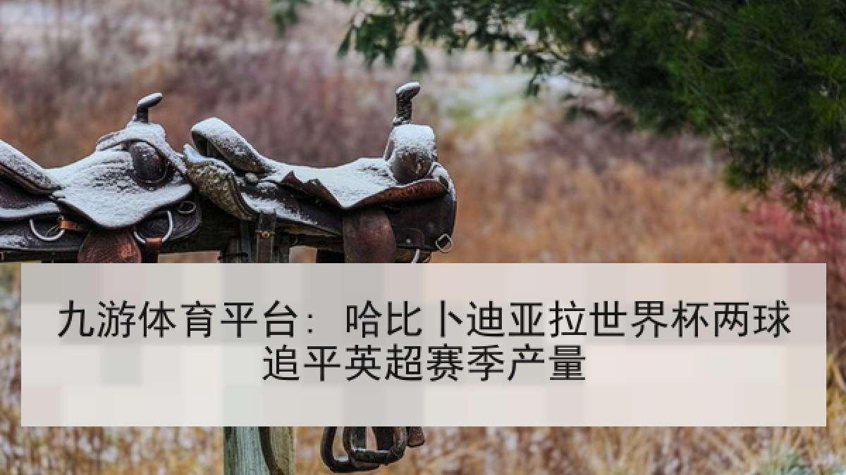 九游体育平台: 哈比卜迪亚拉世界杯两球追平英超赛季产量 九游体育平台: 哈比卜迪亚拉世界杯两球追平英超赛季产量