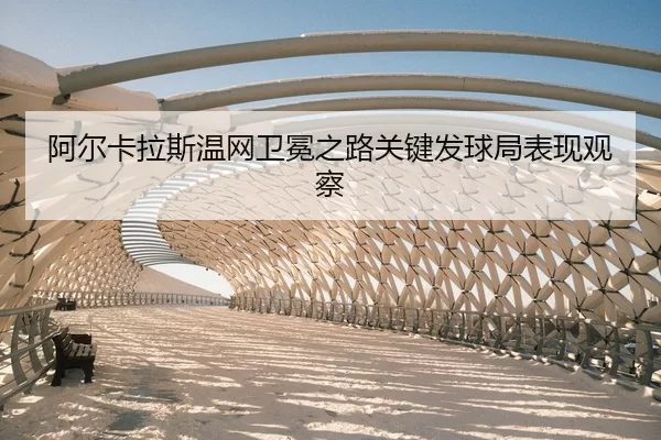 a-er-ka-la-si-wen-wang-wei-mian-zhi-lu-guan-jian-fa-qiu-ju-biao-xian-guan-cha-2-756.jpg