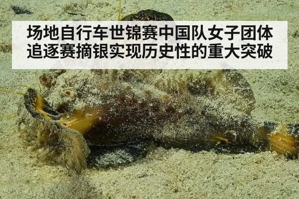 场地自行车世锦赛中国队女子团体追逐赛摘银实现历史性的重大突破