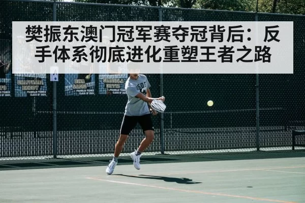 樊振东澳门冠军赛夺冠背后：反手体系彻底进化重塑王者之路