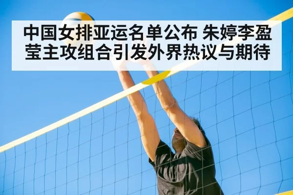 volleyball net defense